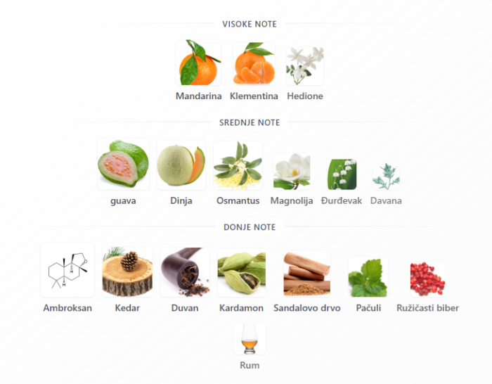 Roja Isola Verde - Image 2