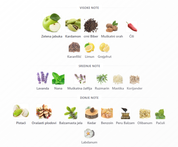 Viktor&Rolf Spicebomb Night Vision EDP - Image 2