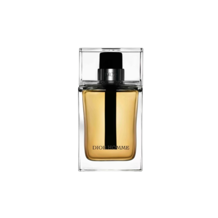 Dior Homme